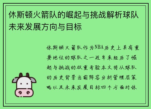 休斯顿火箭队的崛起与挑战解析球队未来发展方向与目标