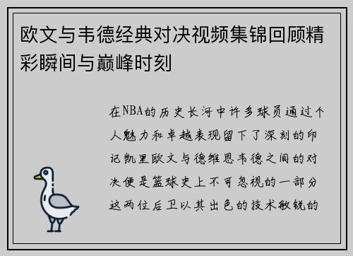 欧文与韦德经典对决视频集锦回顾精彩瞬间与巅峰时刻